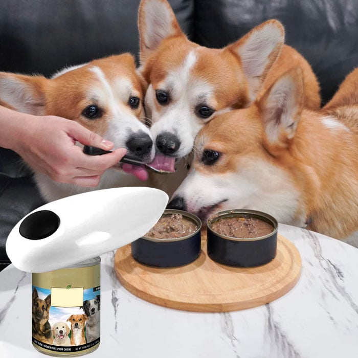 🔥Promotion 49% OFF - Automatic Can Opener - 👍BUY 3 GET 2 FREE & FREE SHIPPING